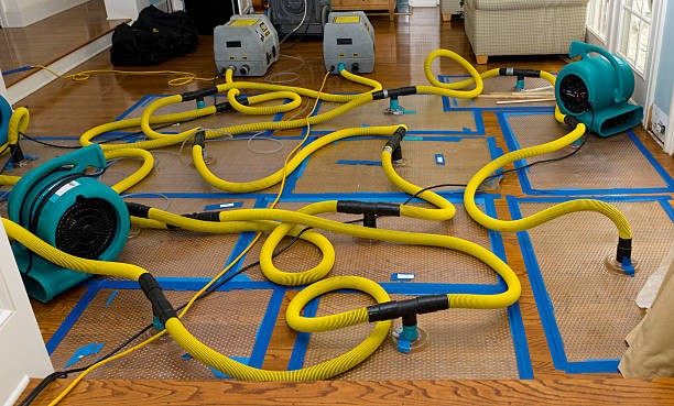 Professional Sewage Cleanup technician working in Norwalk, OH